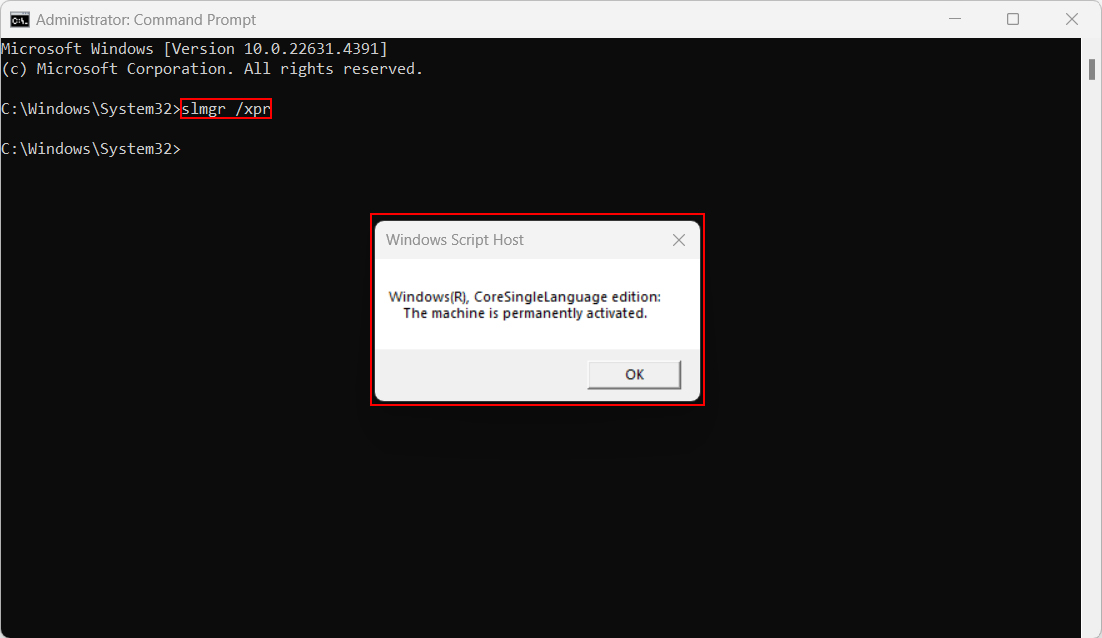 active-windows-11-8